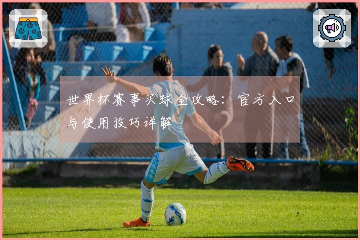 世界杯赛事买球全攻略：官方入口与使用技巧详解