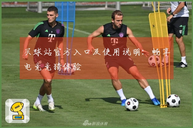 买球站官方入口及使用说明：畅享电竞竞猜体验