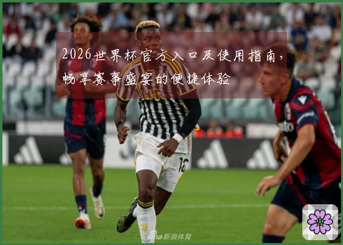 2026世界杯官方入口及使用指南，畅享赛事盛宴的便捷体验