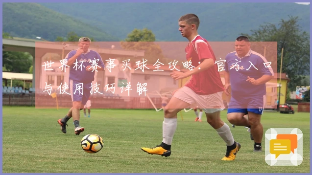 世界杯赛事买球全攻略：官方入口与使用技巧详解