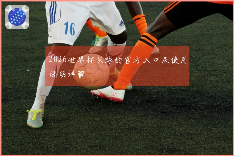 2026世界杯买球的官方入口及使用说明详解