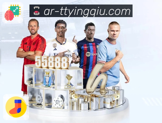 天天盈球安全通道